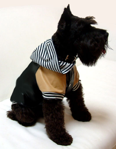 犬 服 Dog's wear 定番ジャンパー