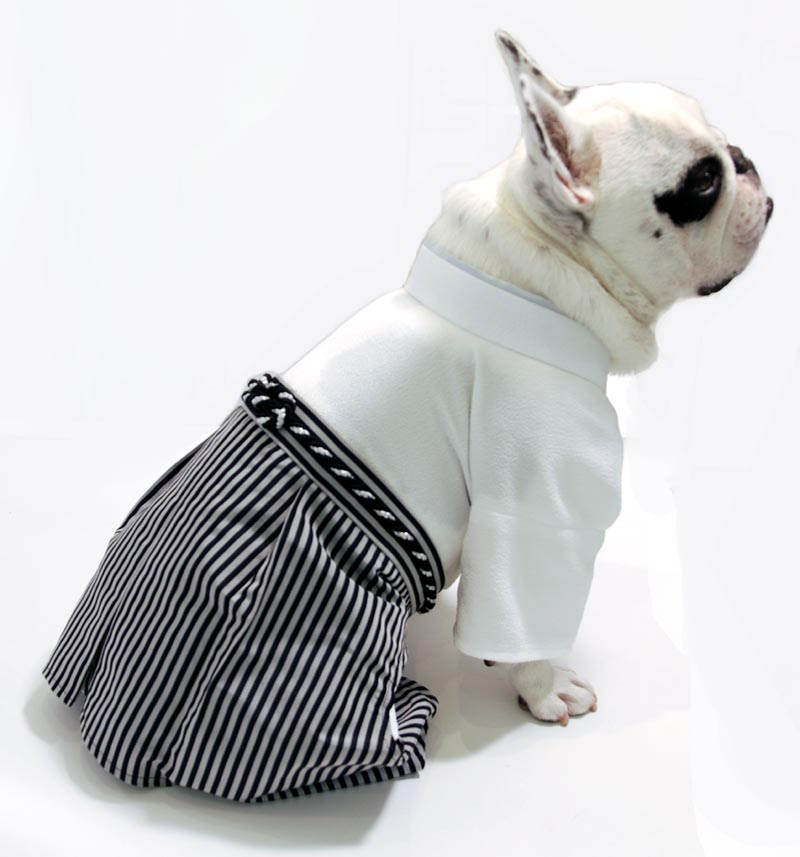 2021年激安 犬の袴✨犬用本格着物袴セット 金襴 黒×金 M わんこ着物 