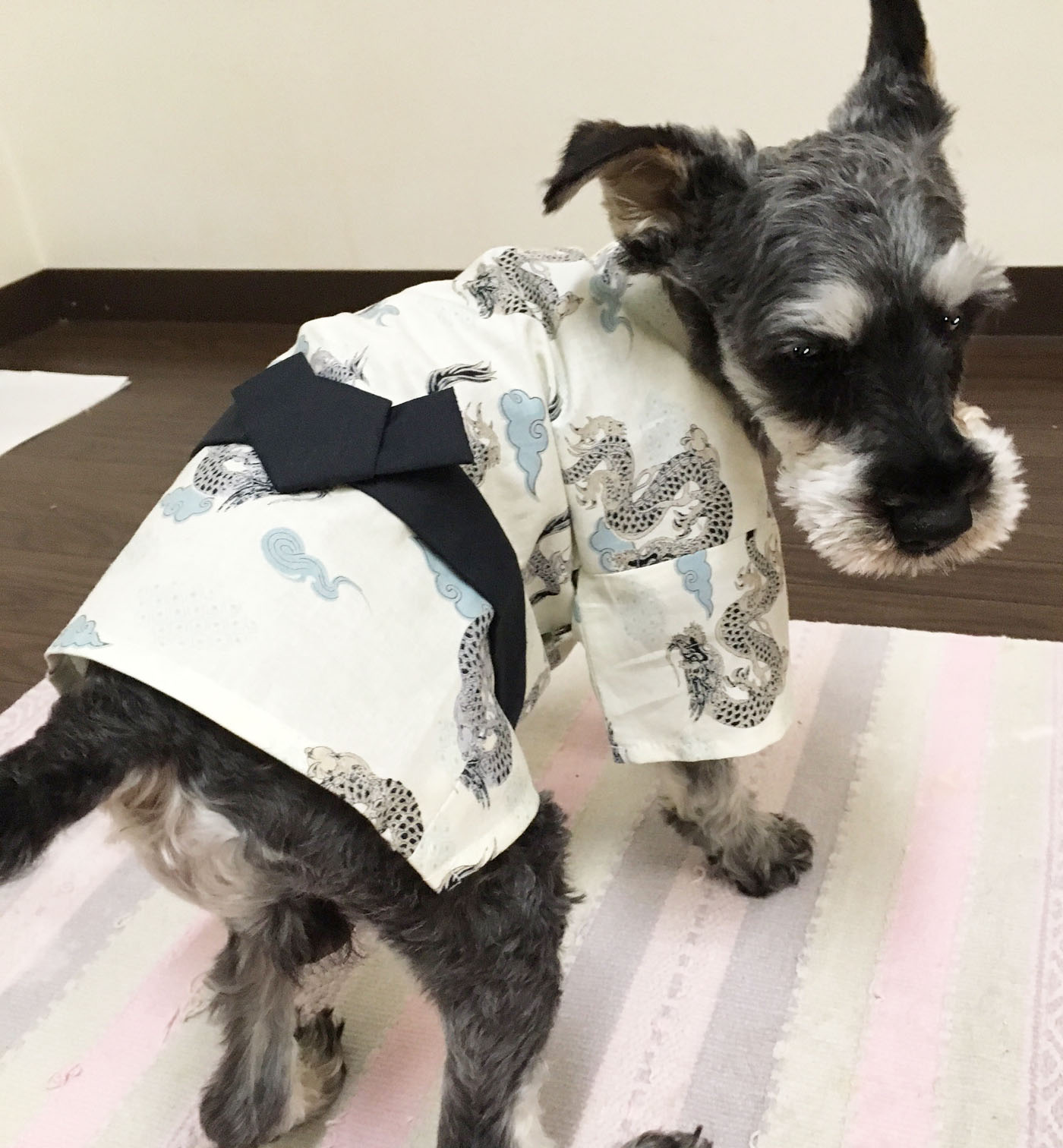 犬 服 Dog's wear 代官山Nahomilly 本格着物 犬の浴衣（ゆかた） 男の子用