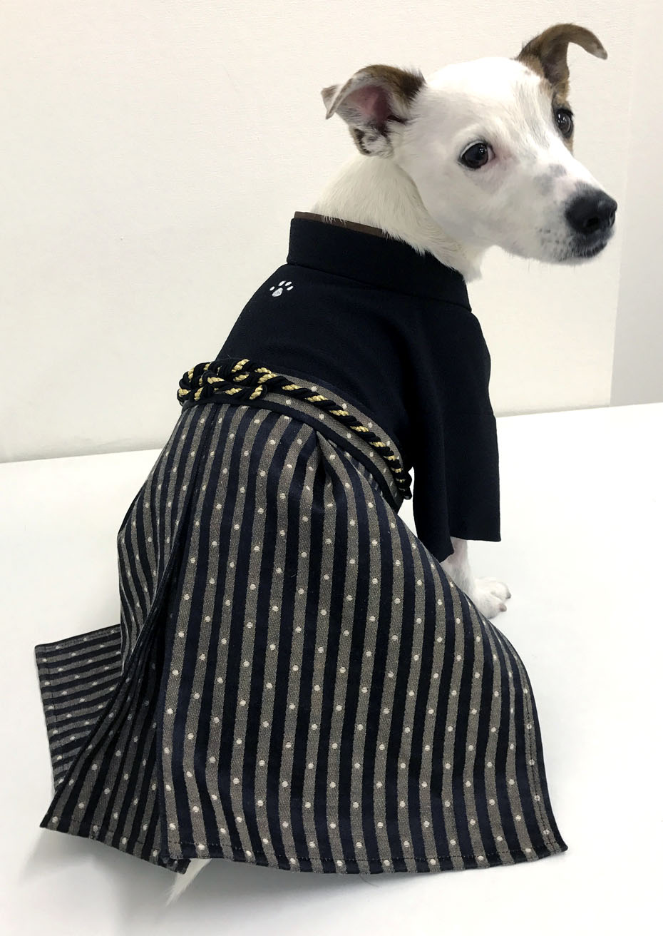 2021年激安 犬の袴✨犬用本格着物袴セット 金襴 黒×金 M わんこ着物 